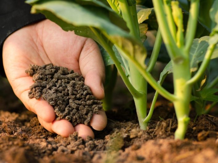 como surgiram os adubos agrícolas - imagem de adubo no solo